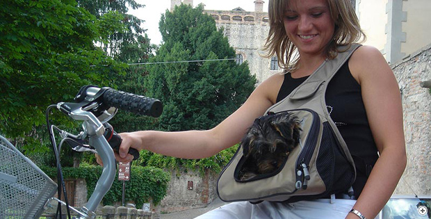 Marsupack dog carrier/pet carrier